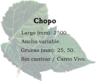 p_chopo_es